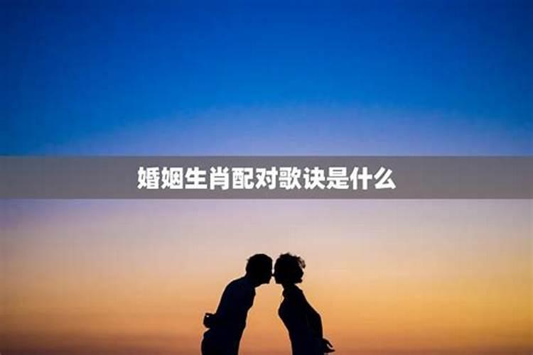 35岁属什么生肖合婚