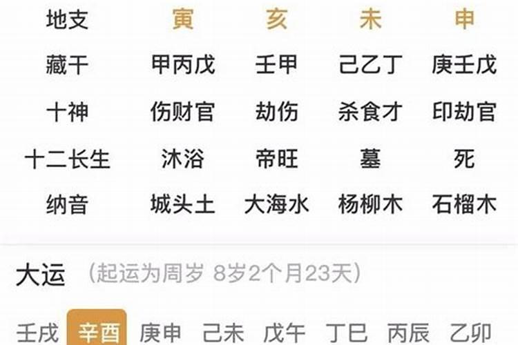 已亥，辛未，癸亥，辛酉，格局如何