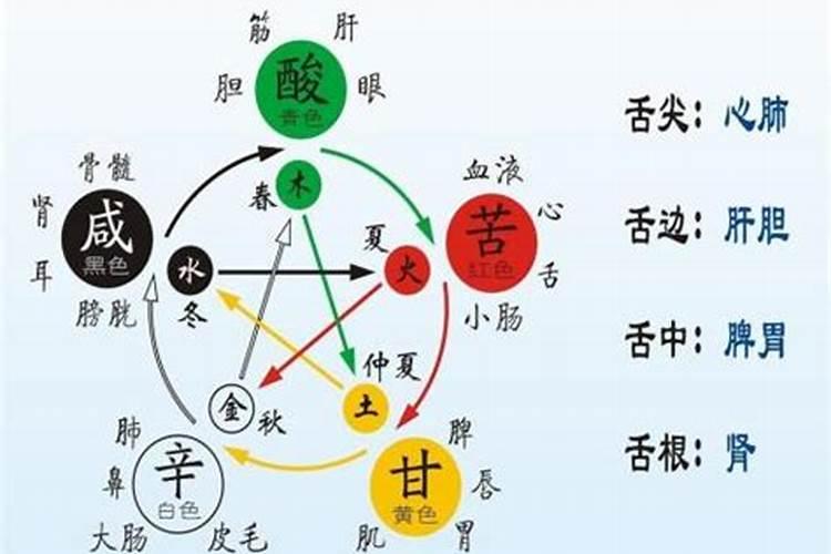 八字阴阳平衡是什么意思