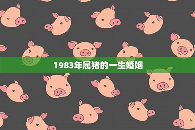 1983属猪男的婚姻和命运如何