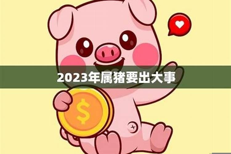 2023年属猪要出大事