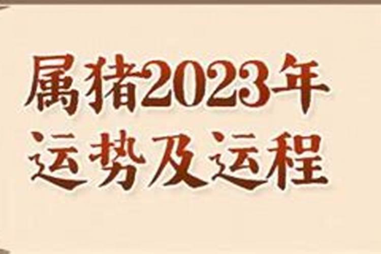 2019年属猪人的全年每月运势