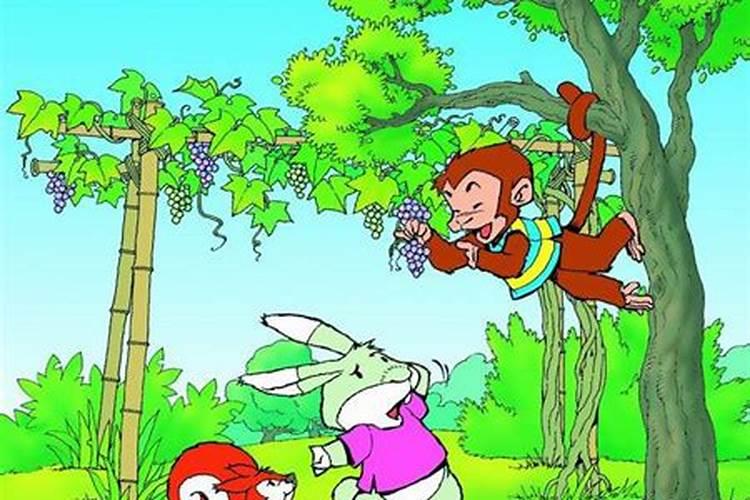 兔和猴相合吗婚姻如何