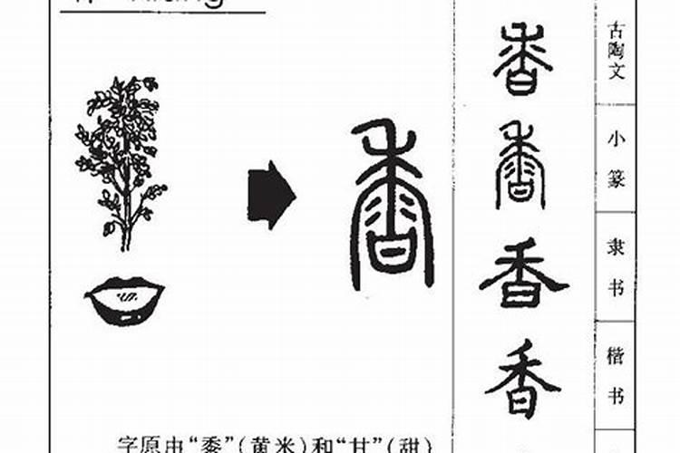 香字五行寓意