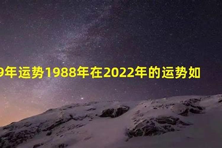 1988年今年运势2021