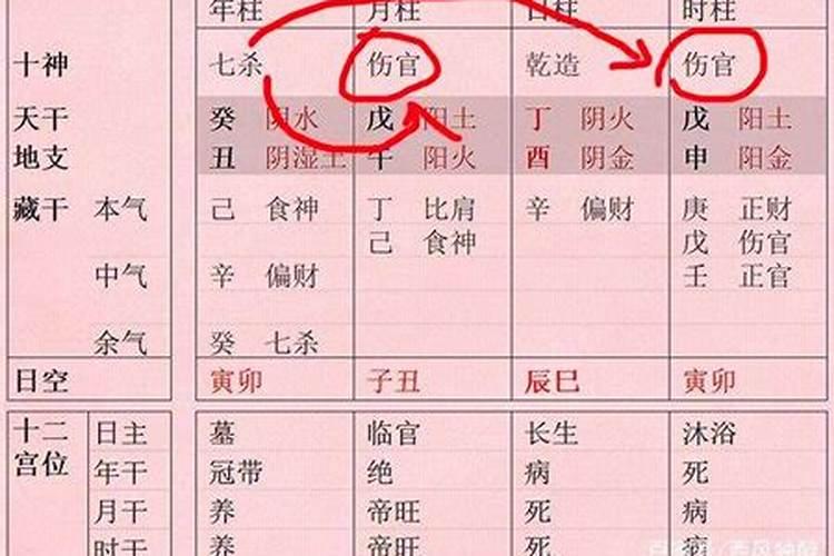 八字十神组合分析