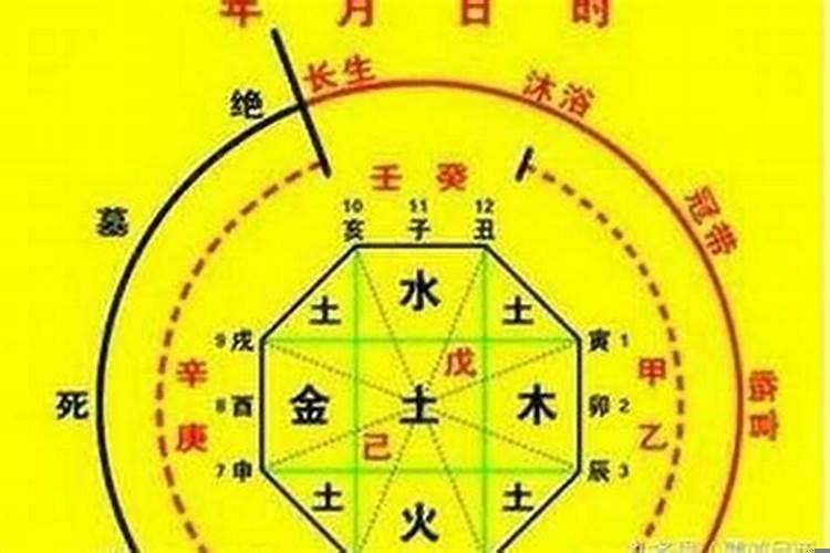 八字五行平衡的人好吗