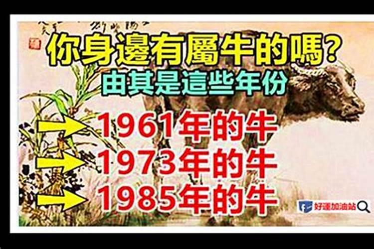 1961年属于什么生肖