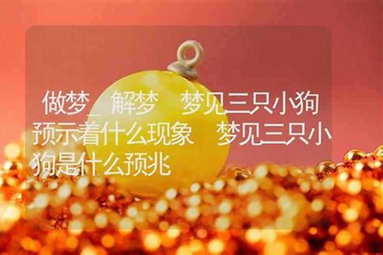 梦见小熊仔预示着什么