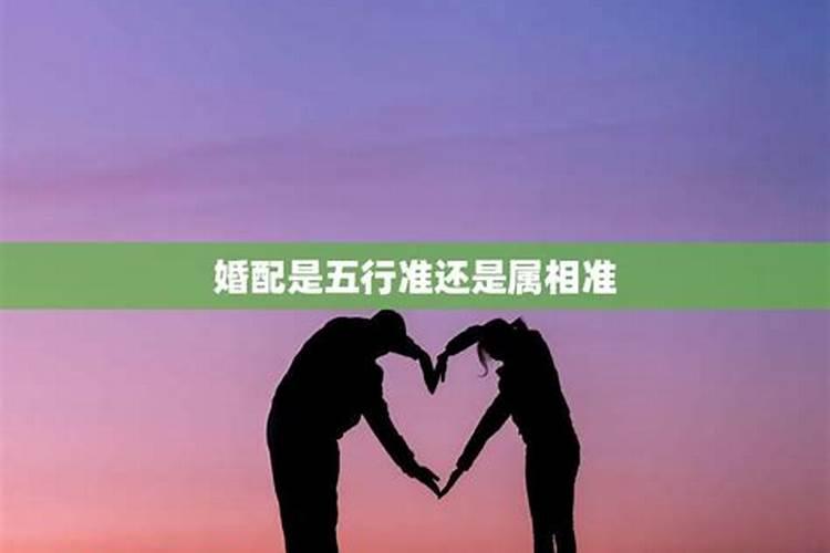 五行婚配准还是属相准