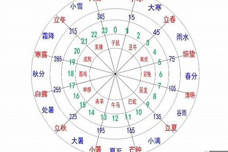 天干和地支是什么关系