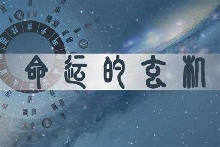 什么样的八字容易做官