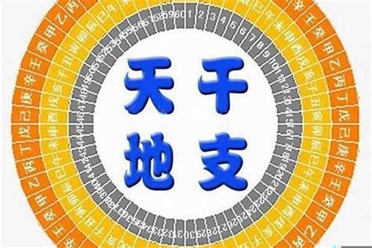 八字金水弱什么意思