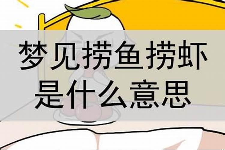 梦见虾是什么意思有什么预兆男人