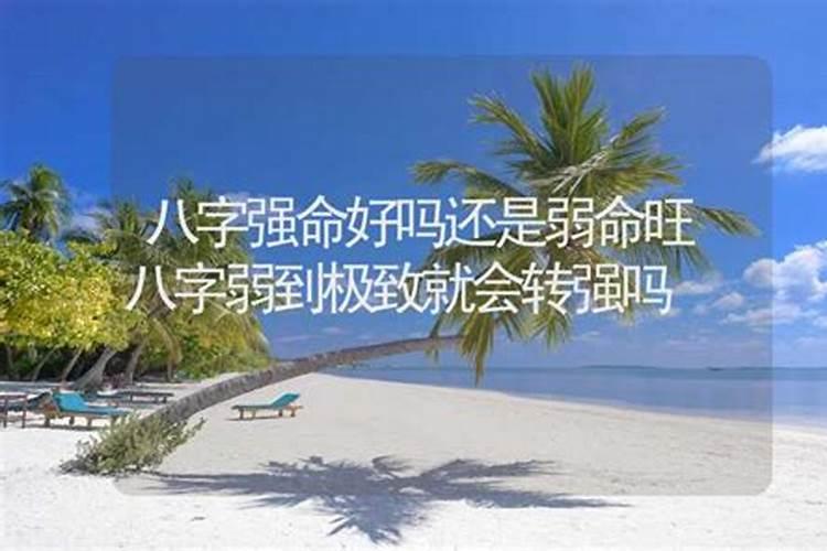 八字极弱的人会怎么样呢