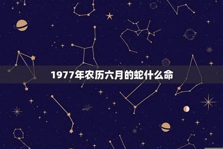 1977年的蛇什么星座