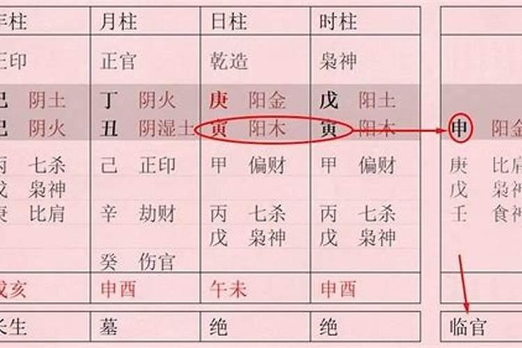 八字禄命什么意思