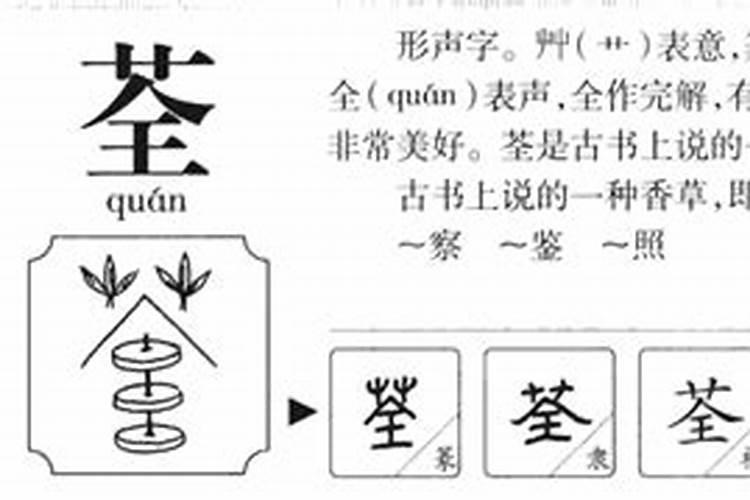 荃字五行属什么意思