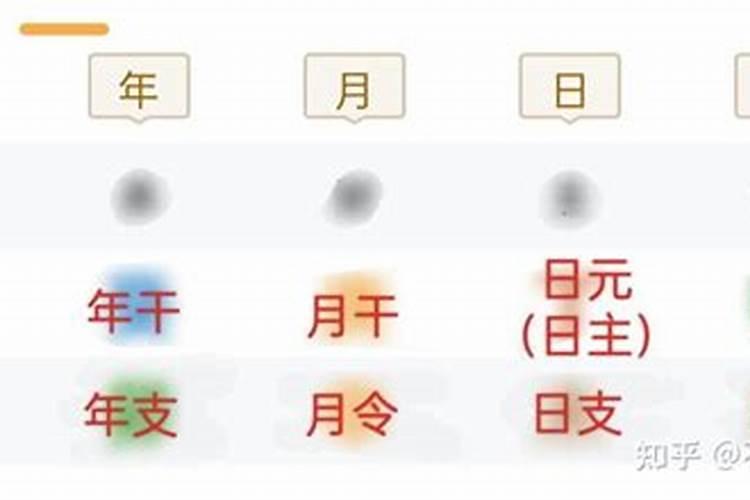 年柱月柱日柱时柱是什么意思