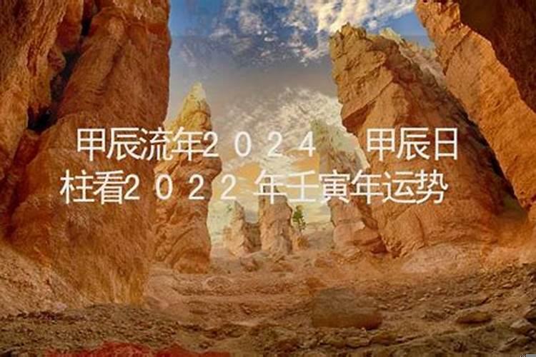 2022年壬寅日柱运势