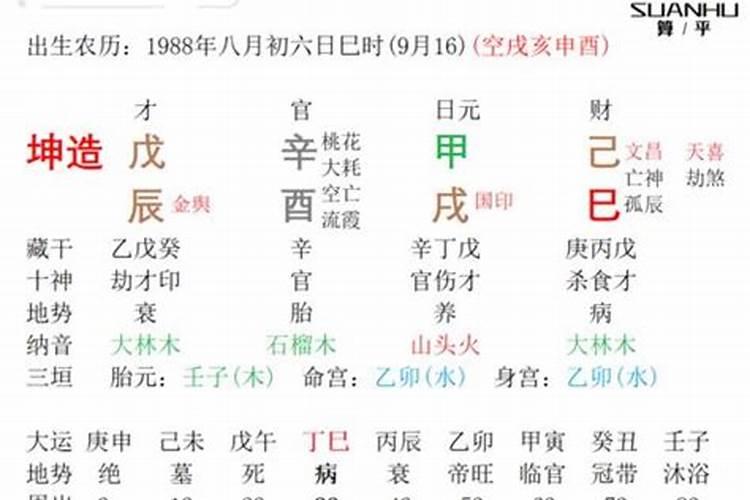 八字癸巳印食是什么意思啊