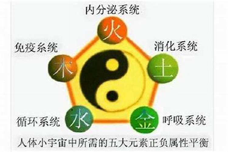 五行八字看什么命