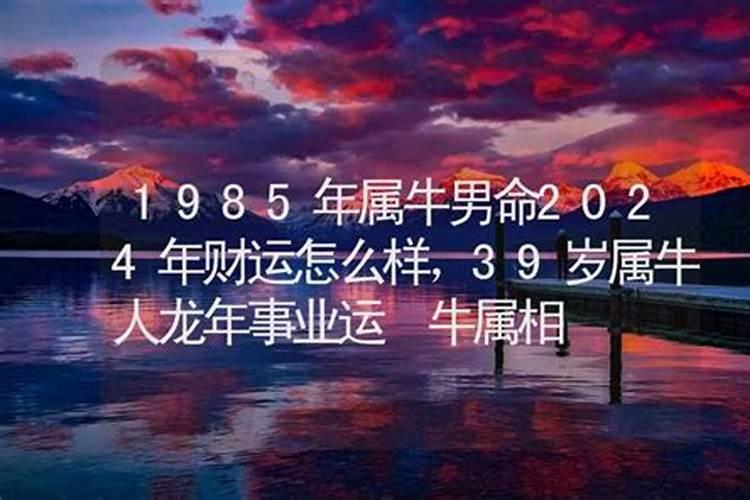 1985属牛女事业怎么样