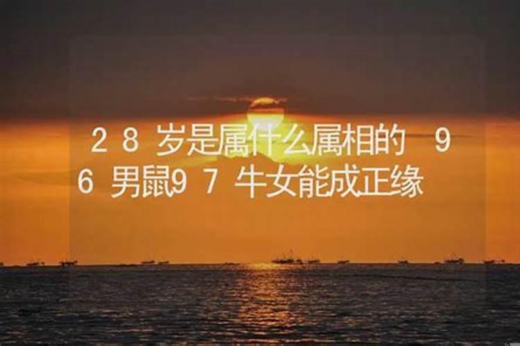 28岁是属什么的,多大了