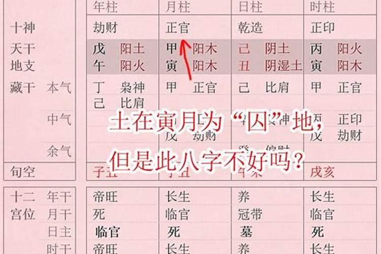 八字从强格是身强还是身弱?