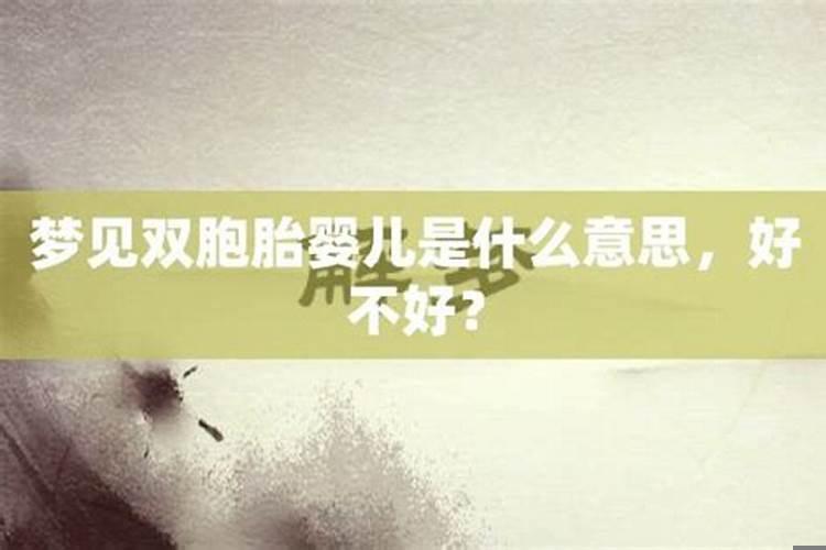 梦见是双胞胎儿子