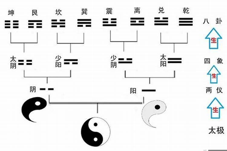 怎样判断八字阴阳