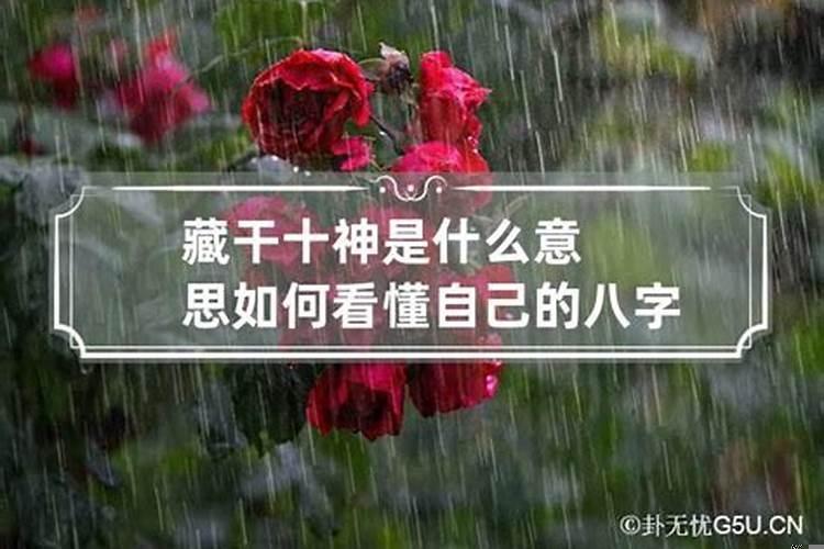 八字中的十神是什么意思