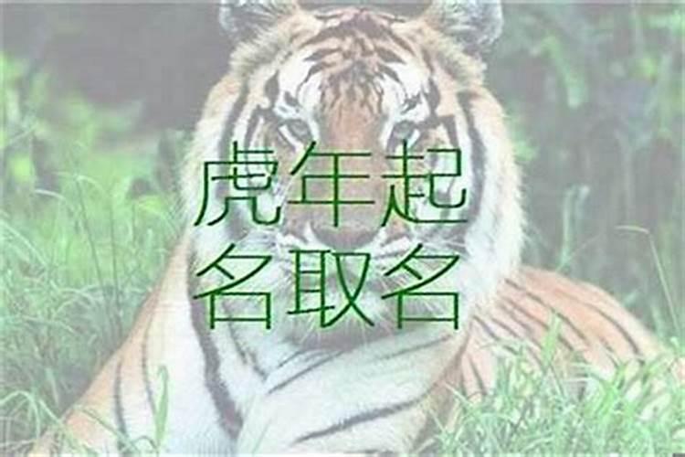 别人梦见我死了啥意思