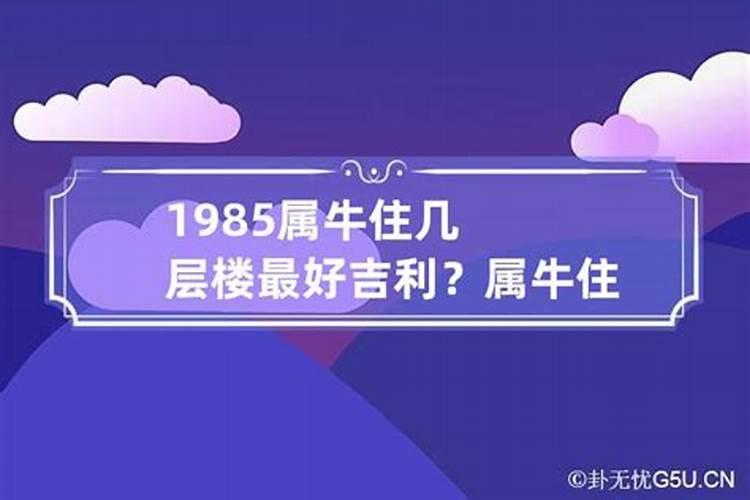 1985属牛适合住几楼吉利