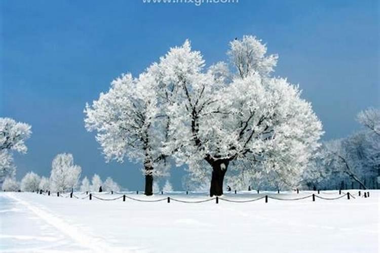 女人做梦梦到雪景是什么征兆