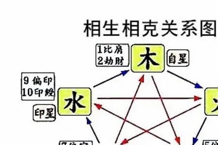 体弱无根什么意思