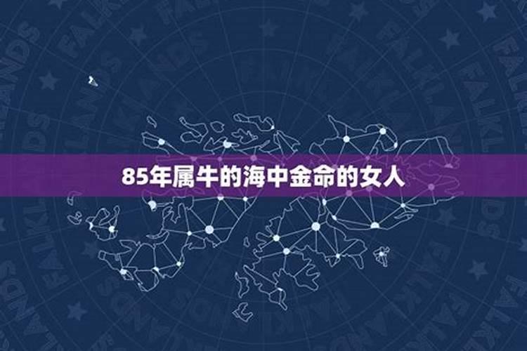 83年大海水命和84年海中金