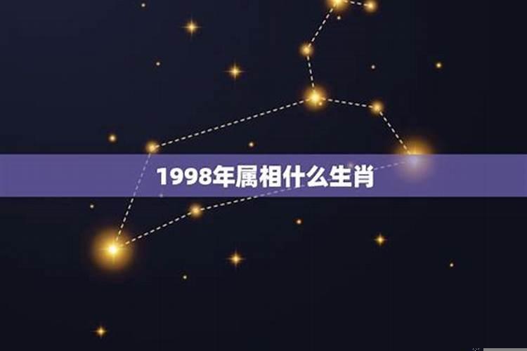 1998年属于生肖