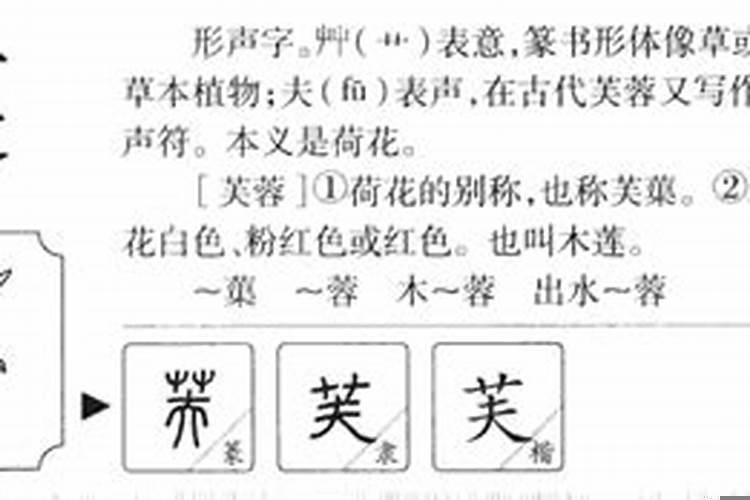 芙字五行属什么属性