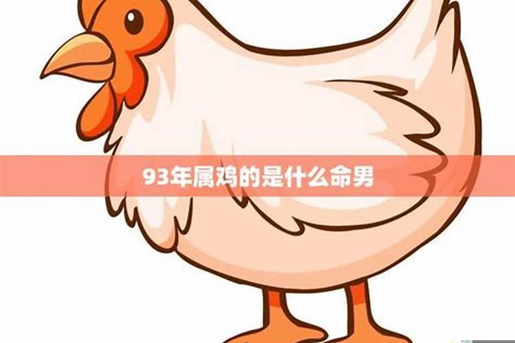 93年属相什么