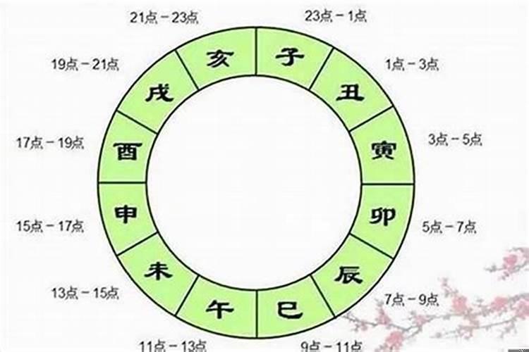 辰未戌丑都在八字里怎么看