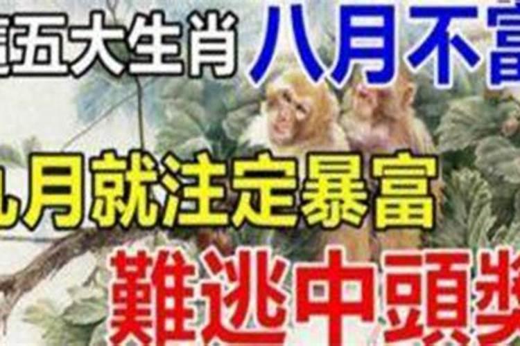 女人梦见自己用手抓活鱼好不好