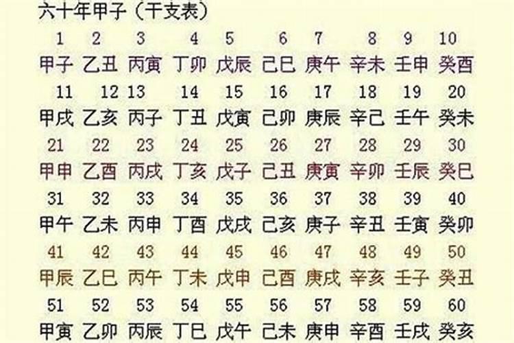 甲子乙亥丁巳的八字