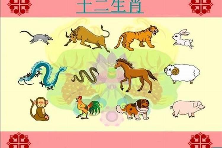 12生肖为什么没有猫呢