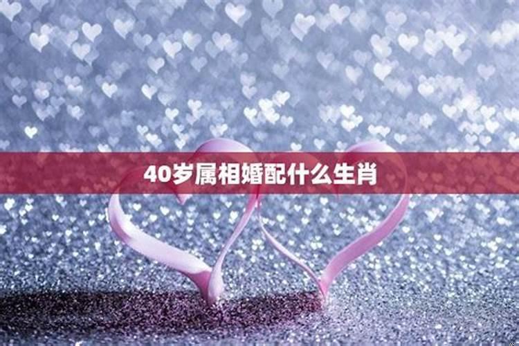 55岁属什么生肖婚配