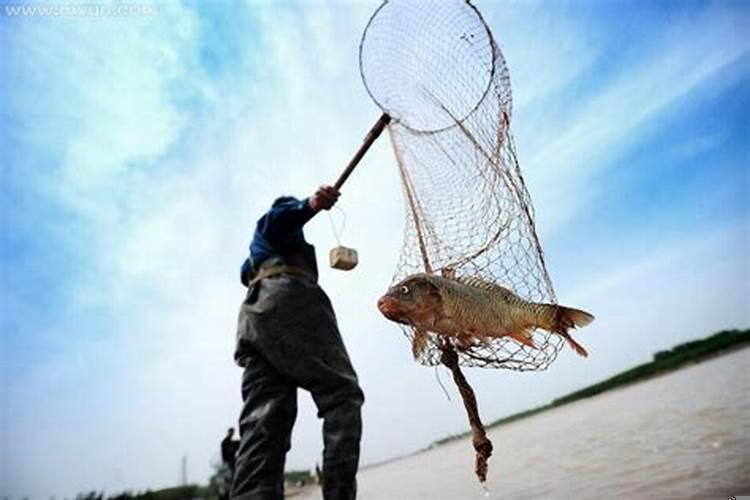 梦到自己网鱼是什么意思