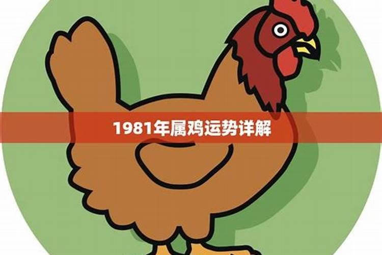 1981年属鸡的女人