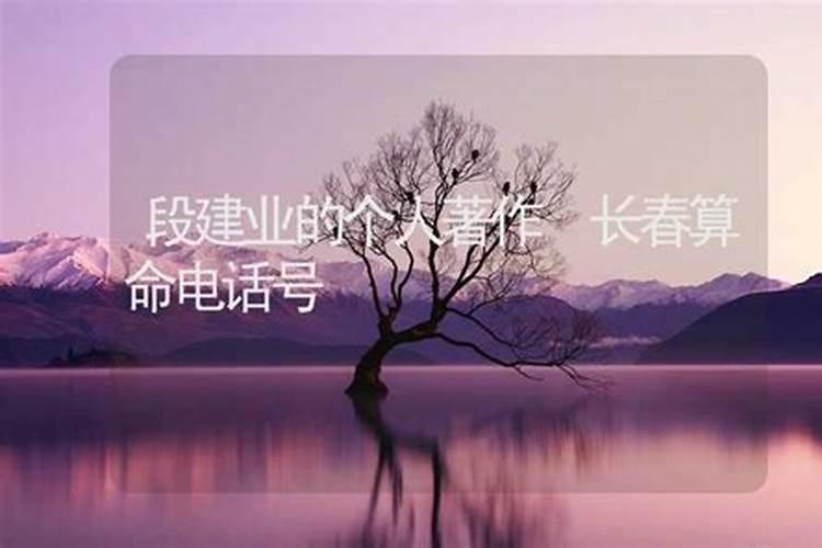 段建业的个人著作是什么