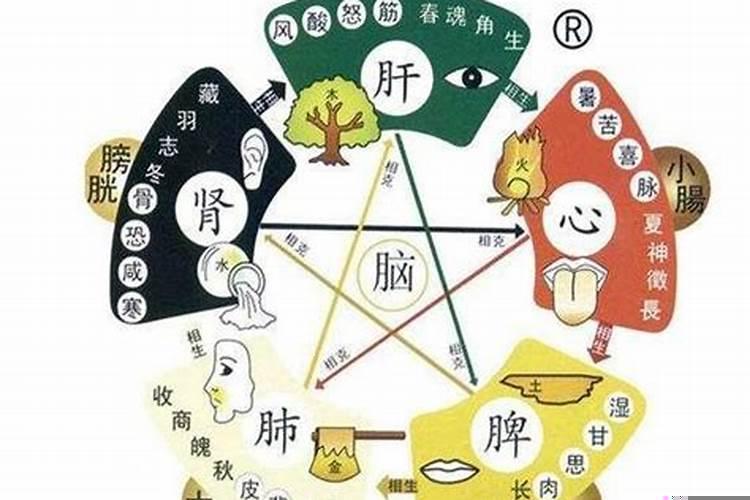 青属于五行属什么属性