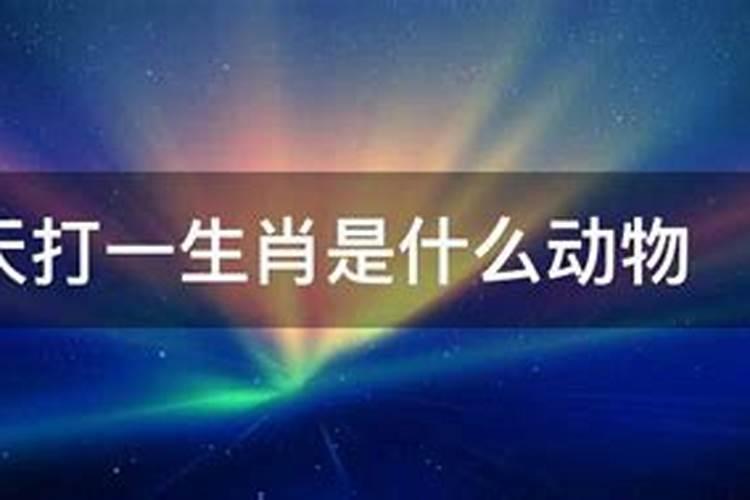 什么动物白日做梦打一生肖